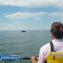 Bicivan Tour Kayak Mar Bahia Malaga Juanchaco Ladrilleros Pacifico Colombia