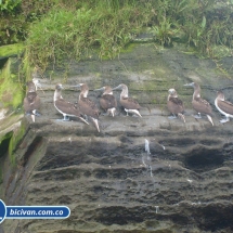 Bicivan Tour Kayak Mar Bahia Malaga Juanchaco Ladrilleros Pacifico Colombia