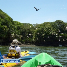 Bicivan Tour Kayak Mar Bahia Malaga Juanchaco Ladrilleros Pacifico Colombia