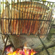 Bicivan Tour Kayak Mar Choco Nuqui Bahiasolano Utria Pacifico Colombia