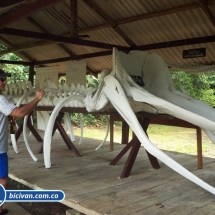 Bicivan Tour Kayak Mar Choco Nuqui Bahiasolano Utria Pacifico Colombia