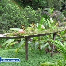 Bicivan Tour Kayak Mar Choco Nuqui Bahiasolano Utria Pacifico Colombia